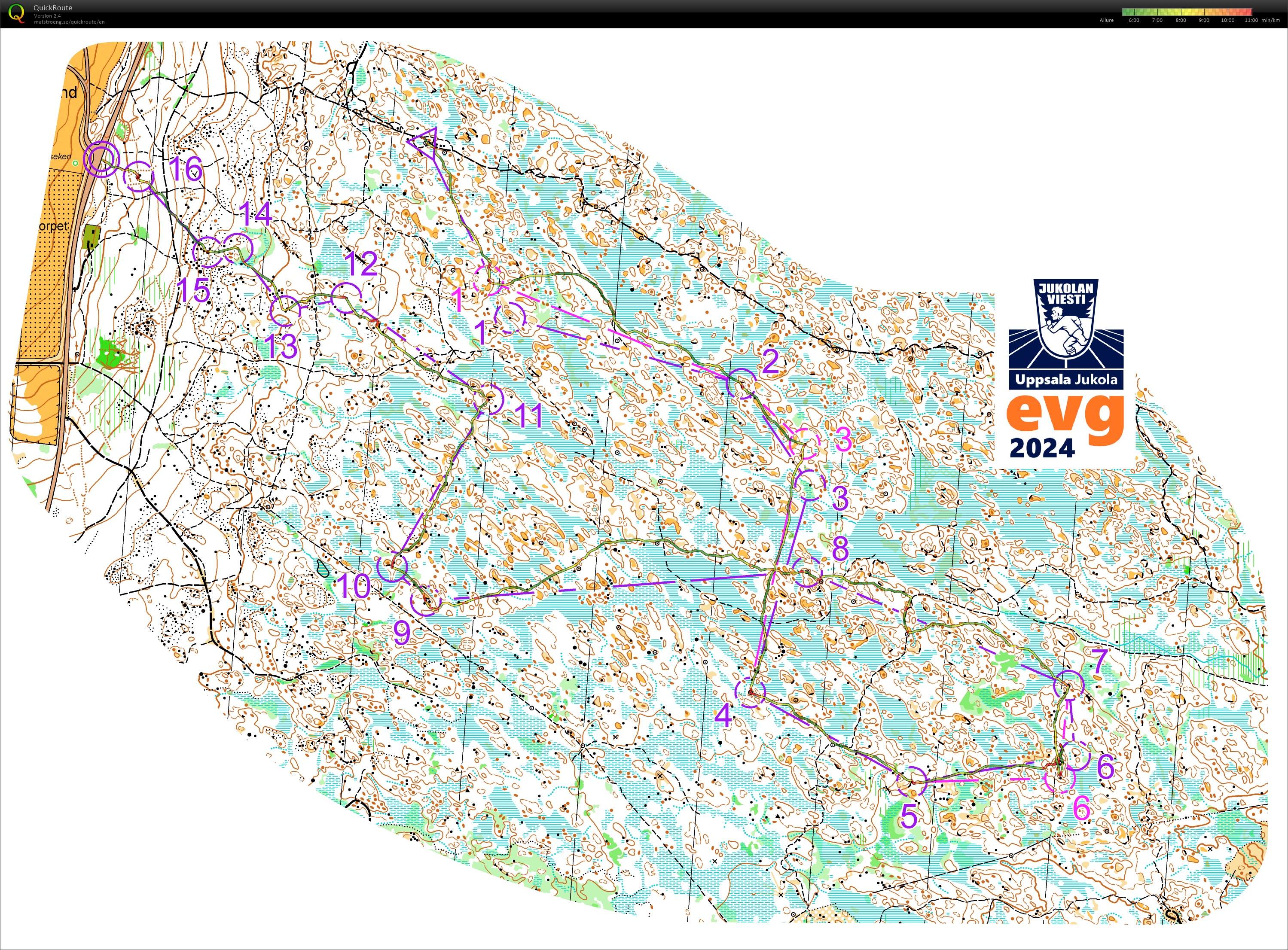 Uppsala-Jukola (8) Lunsen (2024-06-16)